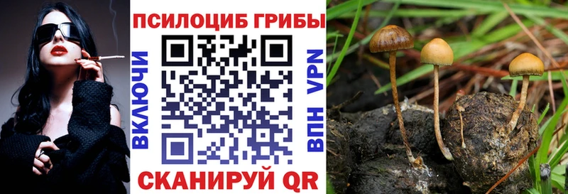 кракен сайт  Елабуга  Псилоцибиновые грибы MAGIC MUSHROOMS 